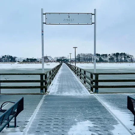 Hafenblick * 징스트